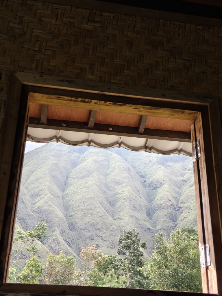 View pergasingan dari villa ody