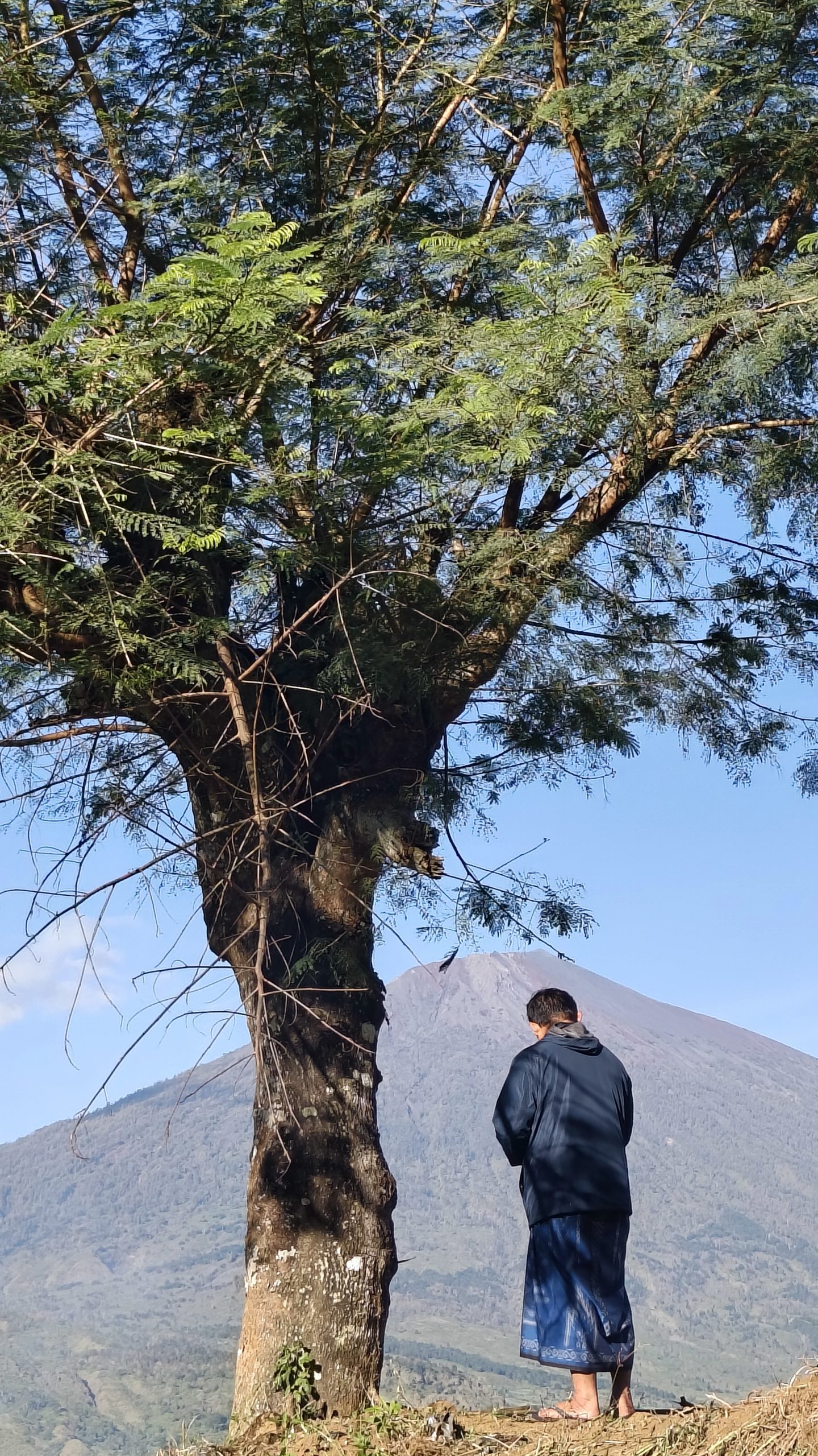 Solo travel sembalun
