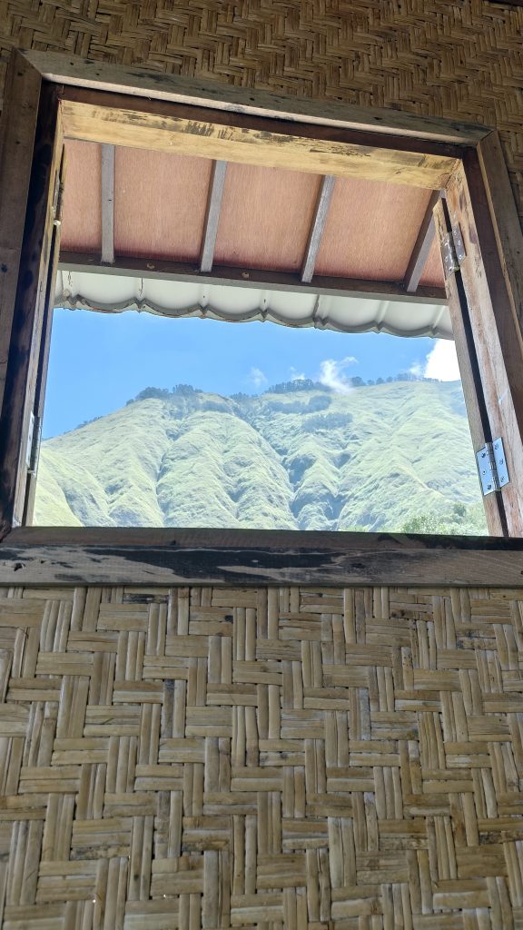 View pergasingan dari villa bale ody